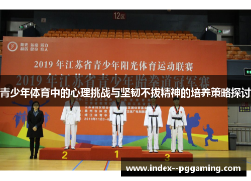 青少年体育中的心理挑战与坚韧不拔精神的培养策略探讨