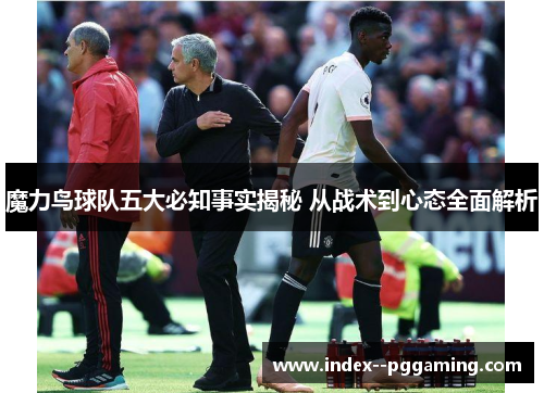 魔力鸟球队五大必知事实揭秘 从战术到心态全面解析